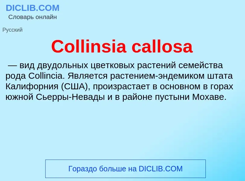 Что такое Collinsia callosa - определение