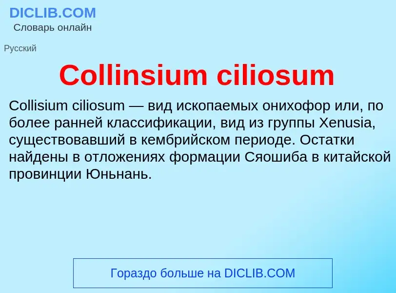 Что такое Collinsium ciliosum - определение