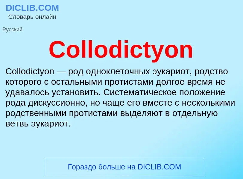 Что такое Collodictyon - определение