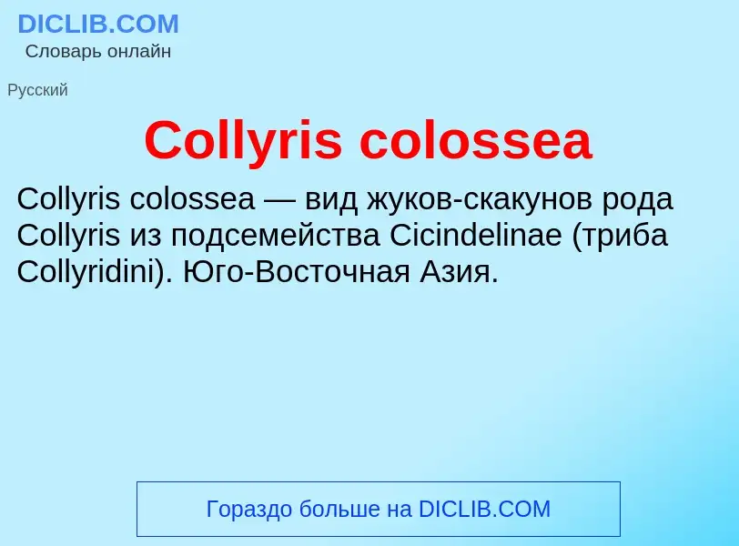 Что такое Collyris colossea - определение