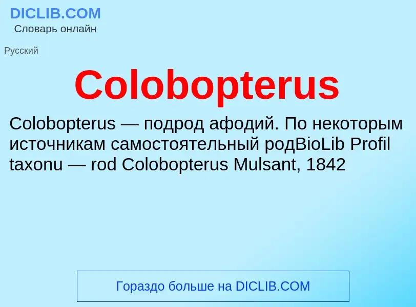 Что такое Colobopterus - определение