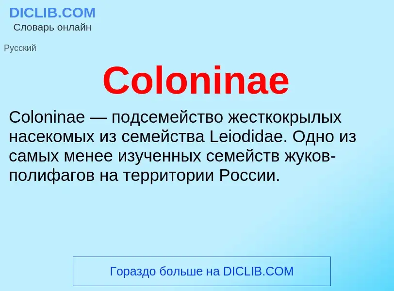 Что такое Coloninae - определение