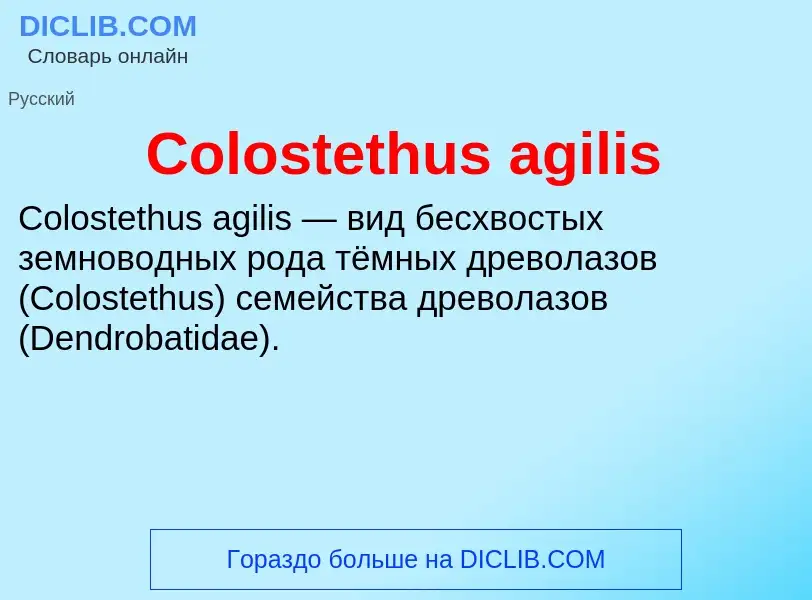 Что такое Colostethus agilis - определение