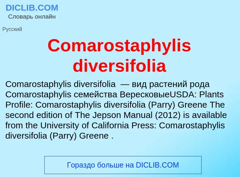 Что такое Comarostaphylis diversifolia - определение