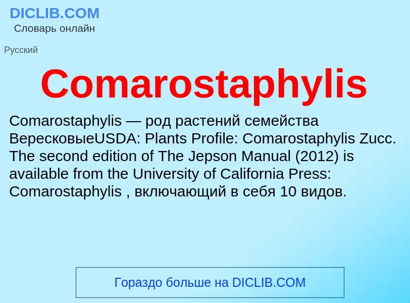 Что такое Comarostaphylis - определение