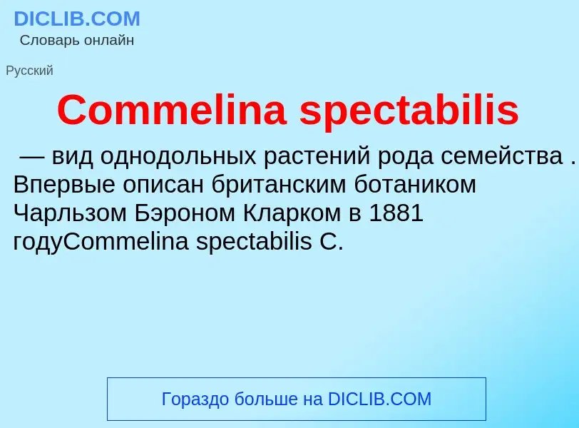 Что такое Commelina spectabilis - определение