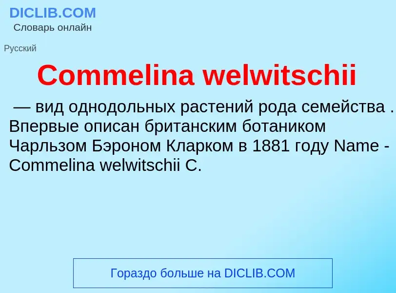 Что такое Commelina welwitschii - определение