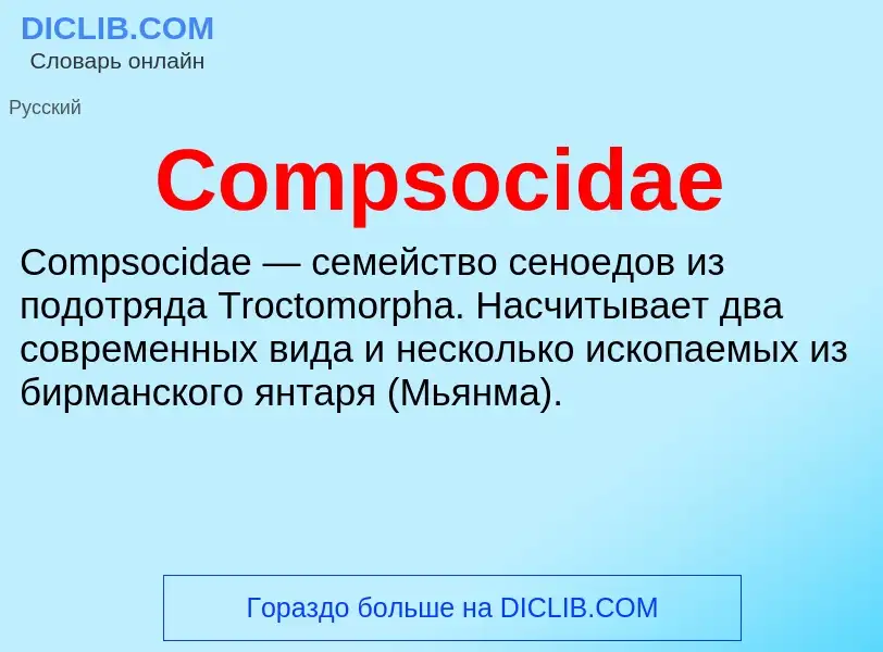 Что такое Compsocidae - определение