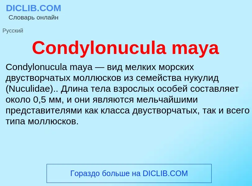 Что такое Condylonucula maya - определение