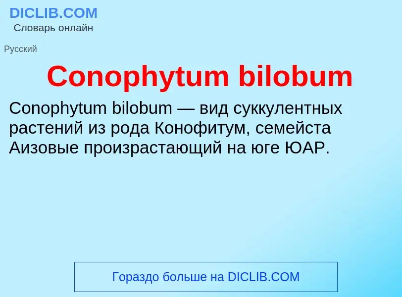 Τι είναι Conophytum bilobum - ορισμός