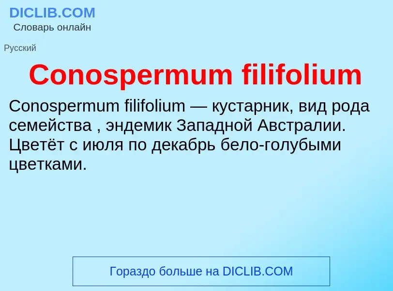 Τι είναι Conospermum filifolium - ορισμός