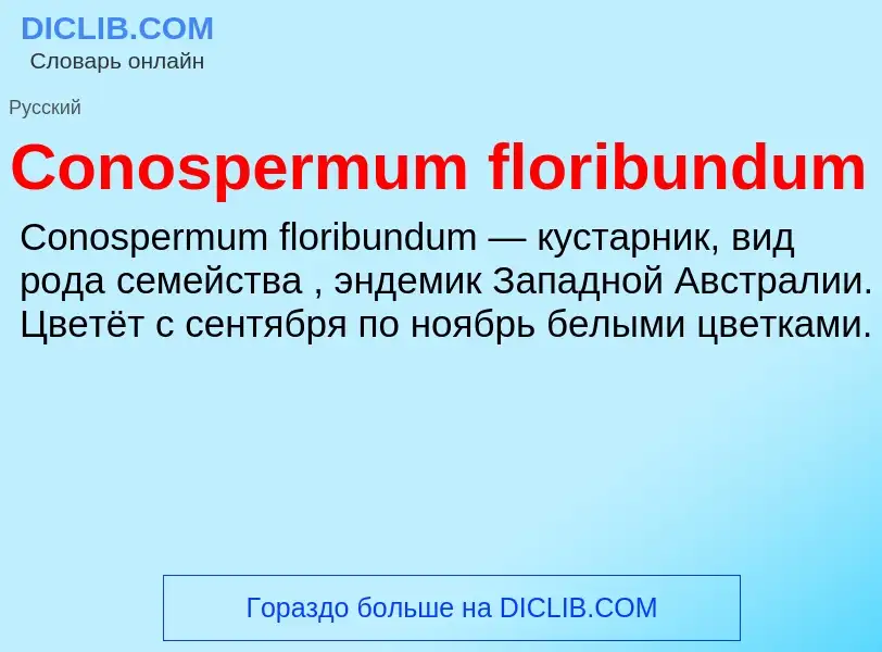 Что такое Conospermum floribundum - определение