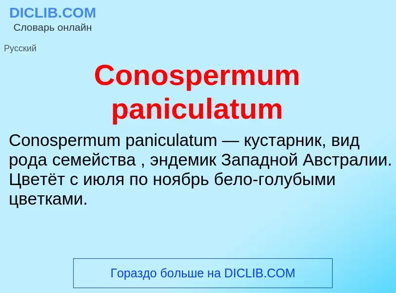 Τι είναι Conospermum paniculatum - ορισμός