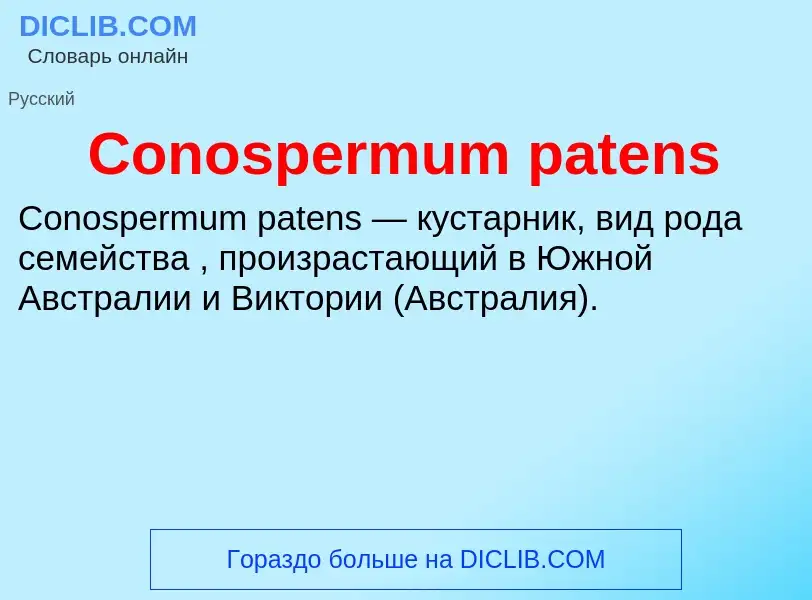 Что такое Conospermum patens - определение