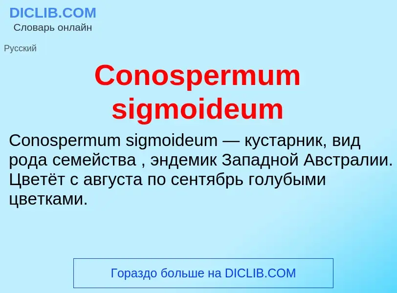 Что такое Conospermum sigmoideum - определение