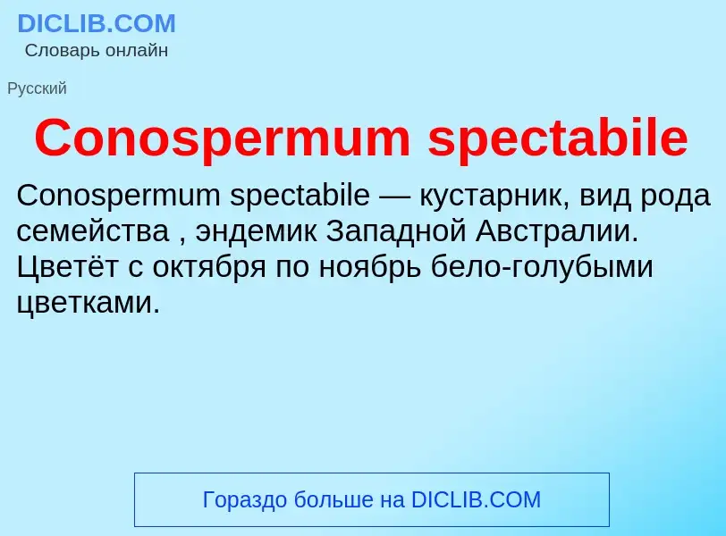 Что такое Conospermum spectabile - определение