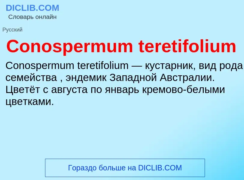 Что такое Conospermum teretifolium - определение