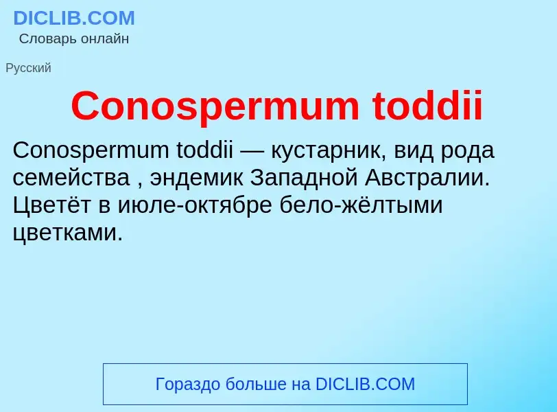 Τι είναι Conospermum toddii - ορισμός