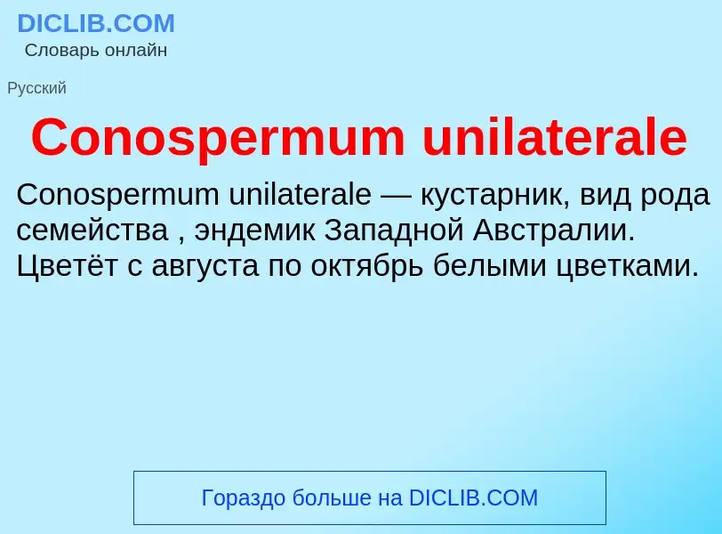 Что такое Conospermum unilaterale - определение