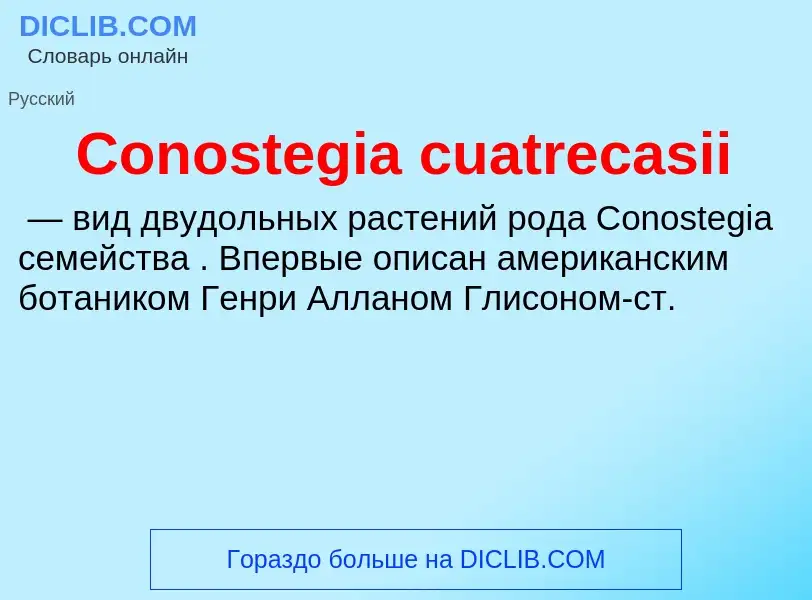 Что такое Conostegia cuatrecasii - определение