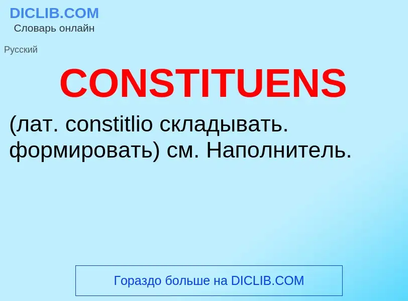 Wat is CONSTITUENS  - definition