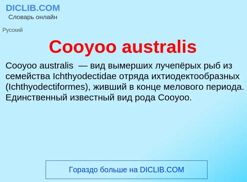 Что такое Cooyoo australis - определение