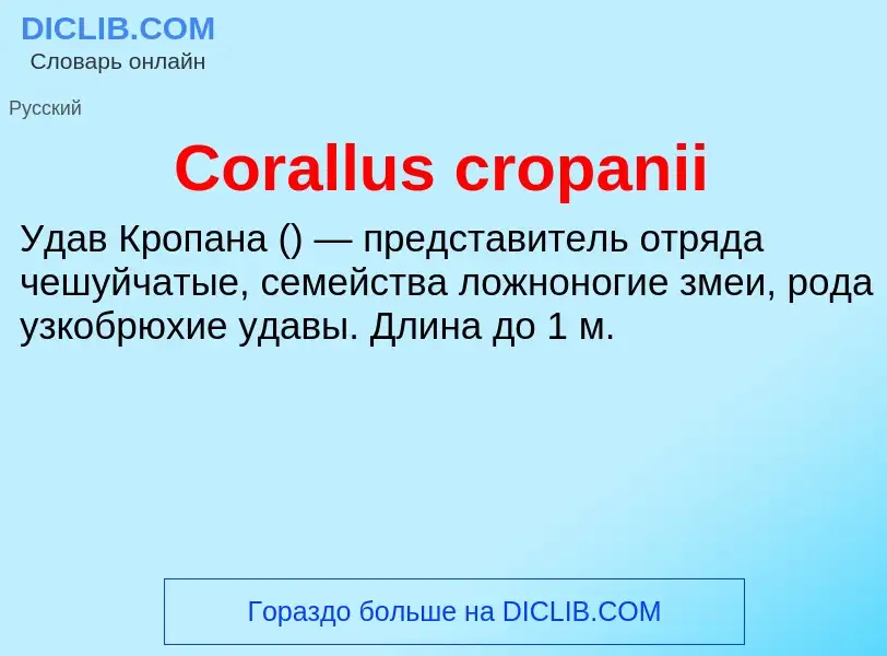 Τι είναι Corallus cropanii - ορισμός