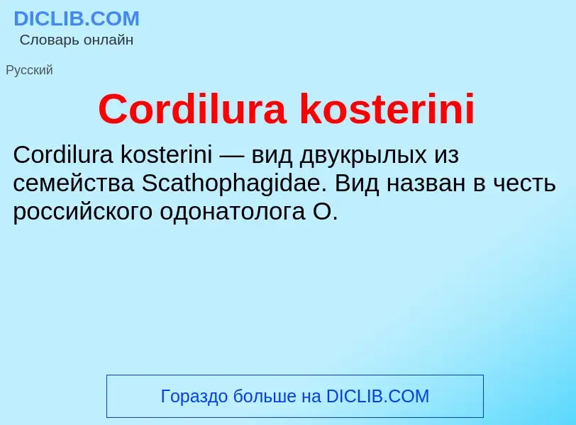 Τι είναι Cordilura kosterini - ορισμός