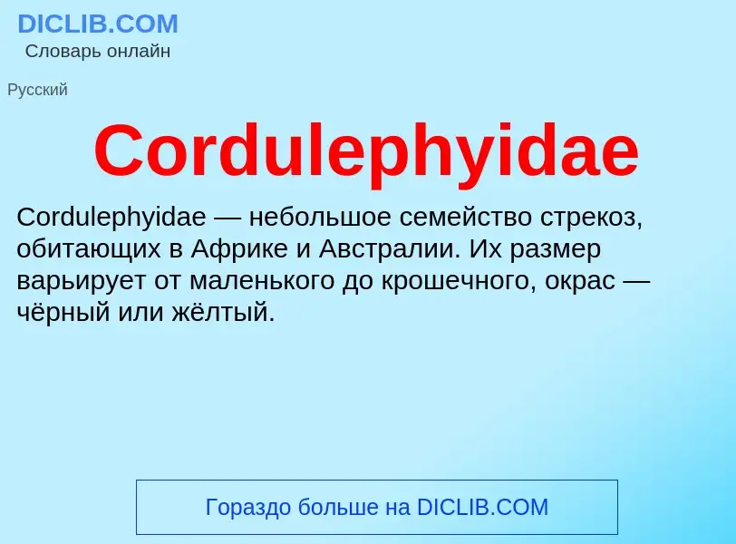 Τι είναι Cordulephyidae - ορισμός