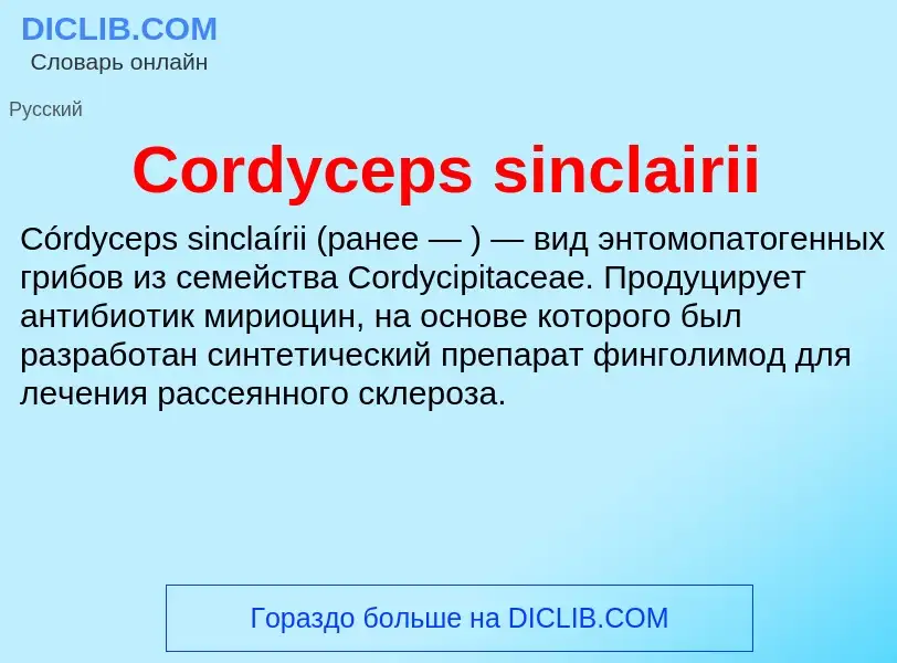 Τι είναι Cordyceps sinclairii - ορισμός