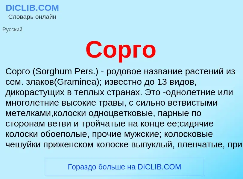 Что такое Cорго - определение