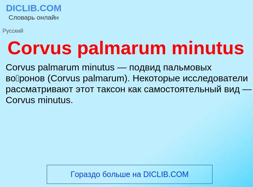 Τι είναι Corvus palmarum minutus - ορισμός