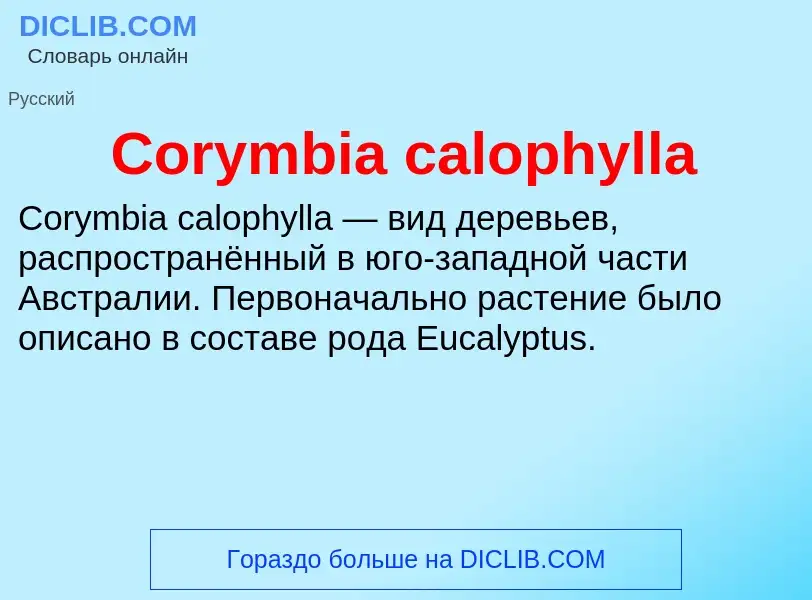 Τι είναι Corymbia calophylla - ορισμός