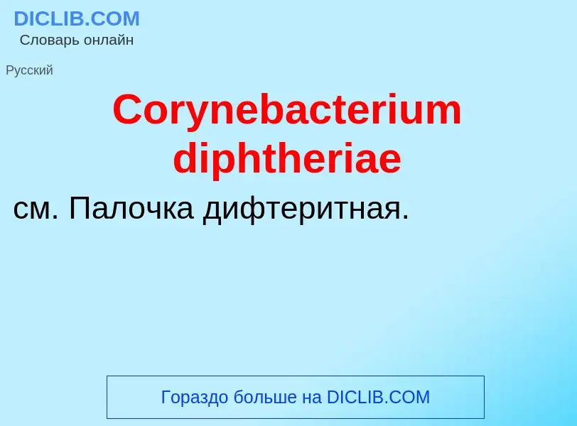 Τι είναι Corynebacterium diphtheriae - ορισμός