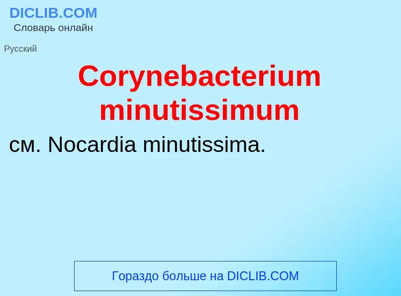 Τι είναι Corynebacterium minutissimum - ορισμός