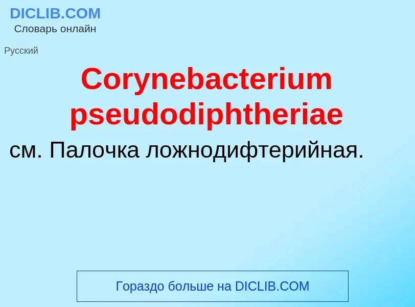 Что такое Corynebacterium pseudodiphtheriae - определение