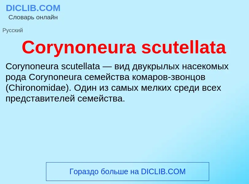 Что такое Corynoneura scutellata - определение