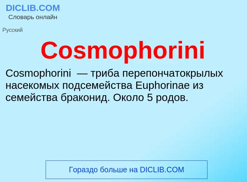 Τι είναι Cosmophorini - ορισμός