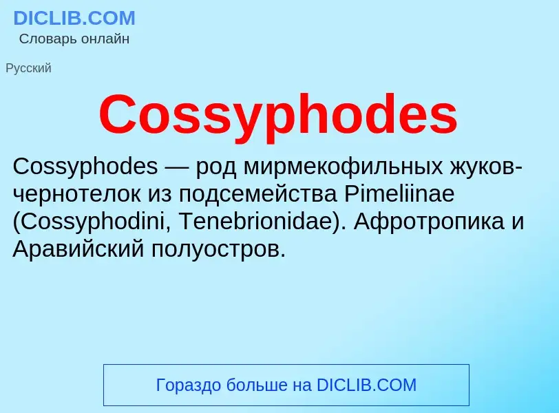 Что такое Cossyphodes - определение