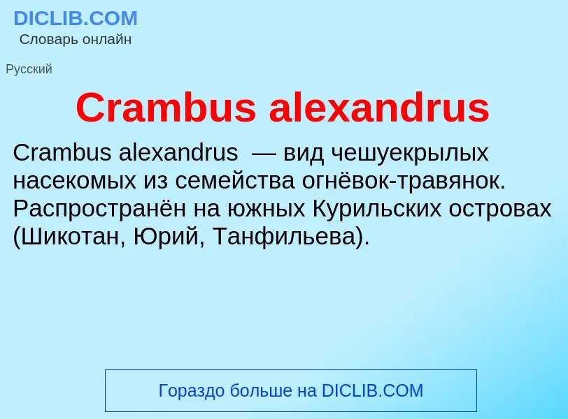 Τι είναι Crambus alexandrus - ορισμός