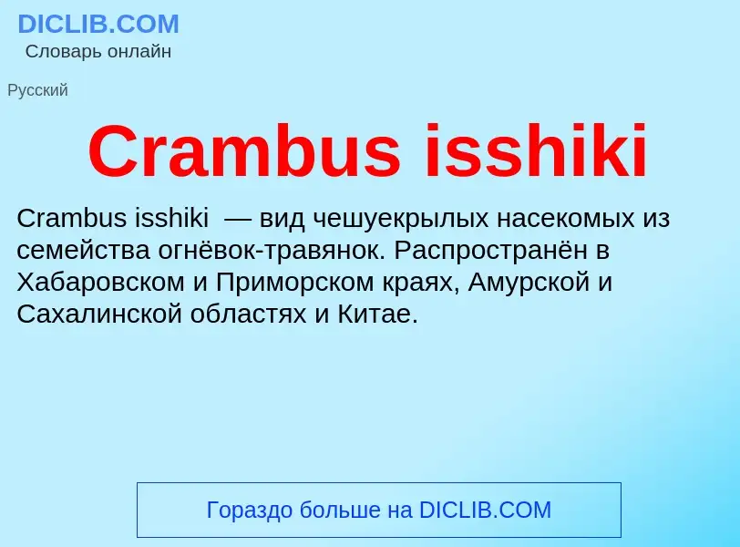 Τι είναι Crambus isshiki - ορισμός