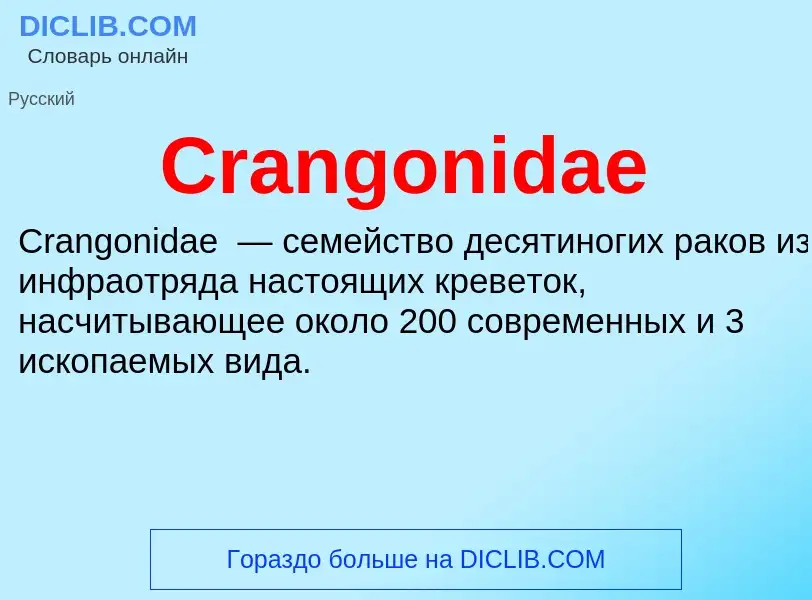 Τι είναι Crangonidae - ορισμός