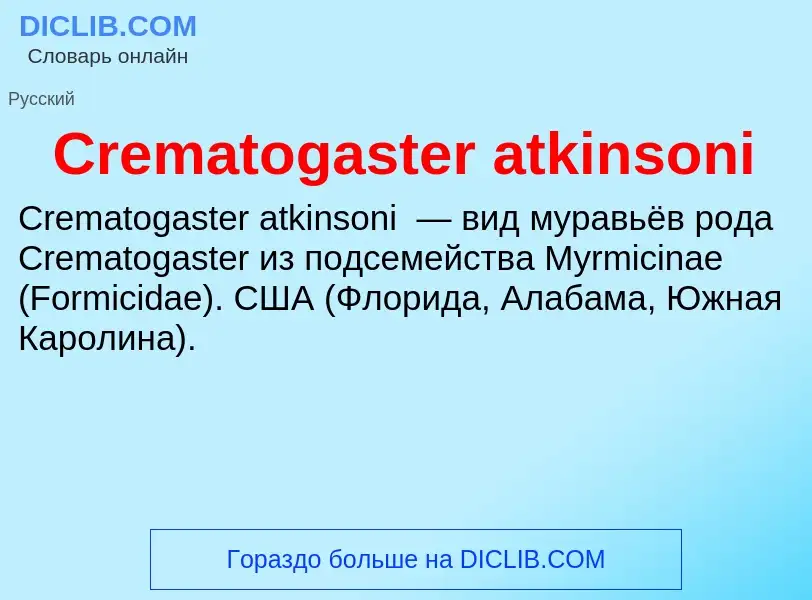 Что такое Crematogaster atkinsoni - определение