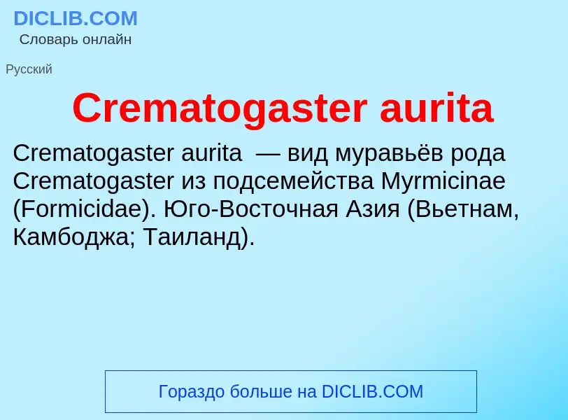 Что такое Crematogaster aurita - определение