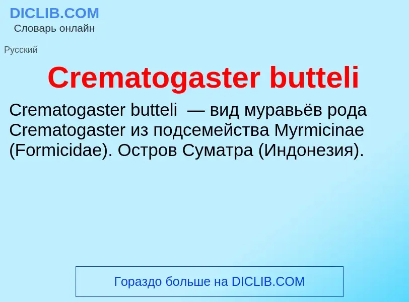 Что такое Crematogaster butteli - определение