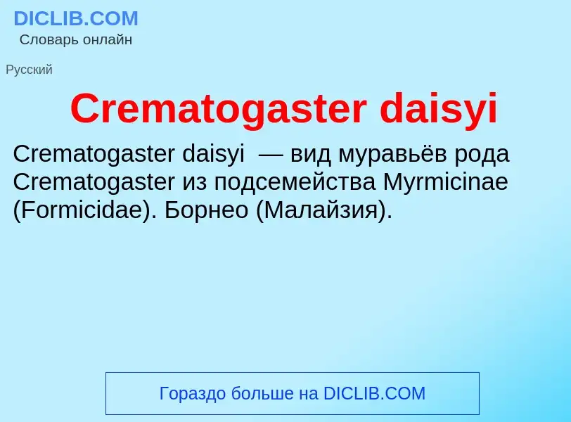 Что такое Crematogaster daisyi - определение