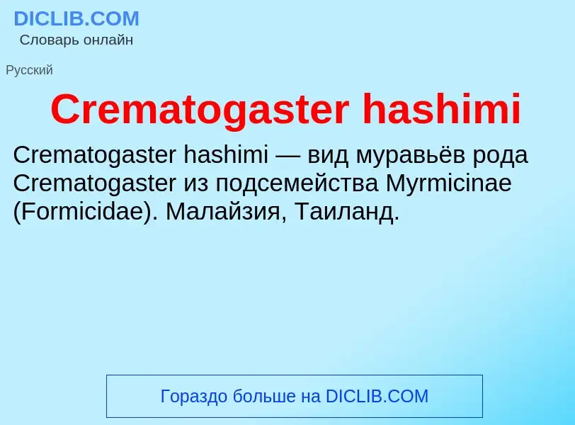 Что такое Crematogaster hashimi - определение