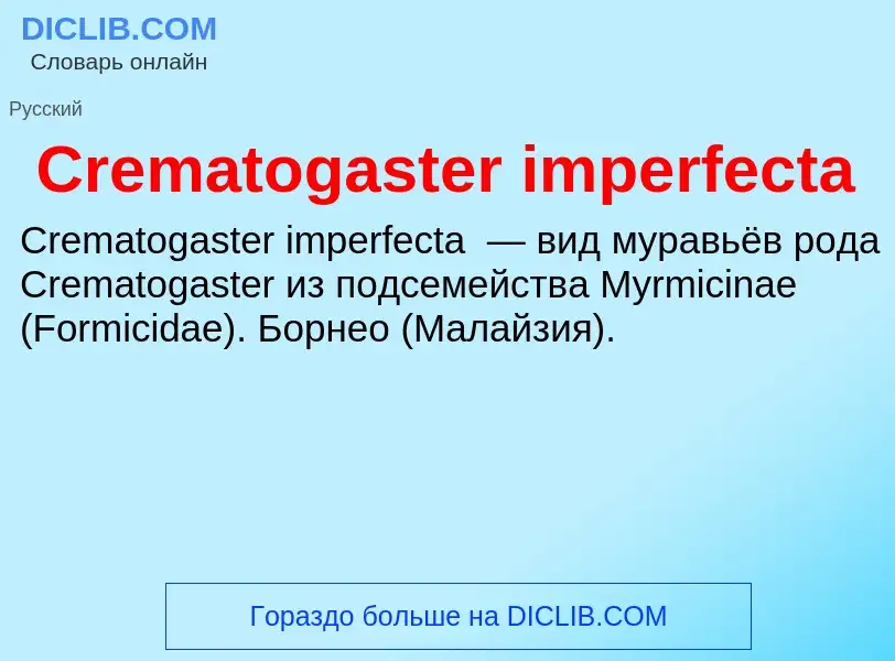 Что такое Crematogaster imperfecta - определение