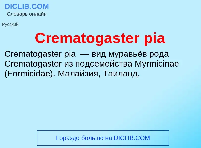 Что такое Crematogaster pia - определение