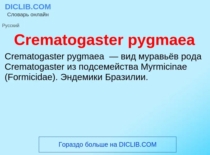 Что такое Crematogaster pygmaea - определение